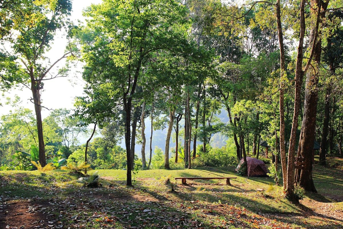 Doi Suthep Pui National Park .jpg