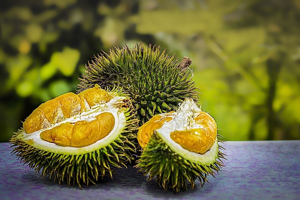 Durian Fruit.jpeg