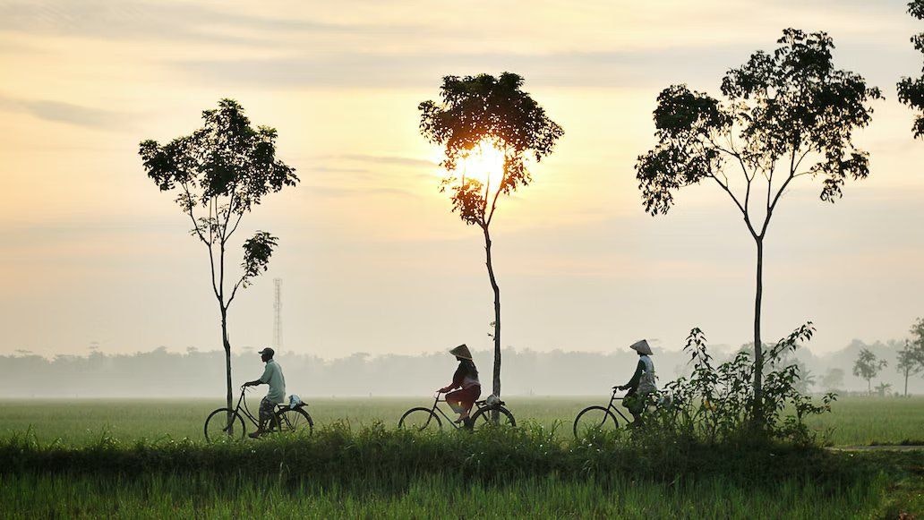 Head out for a cycling tour in Ubud.jpg