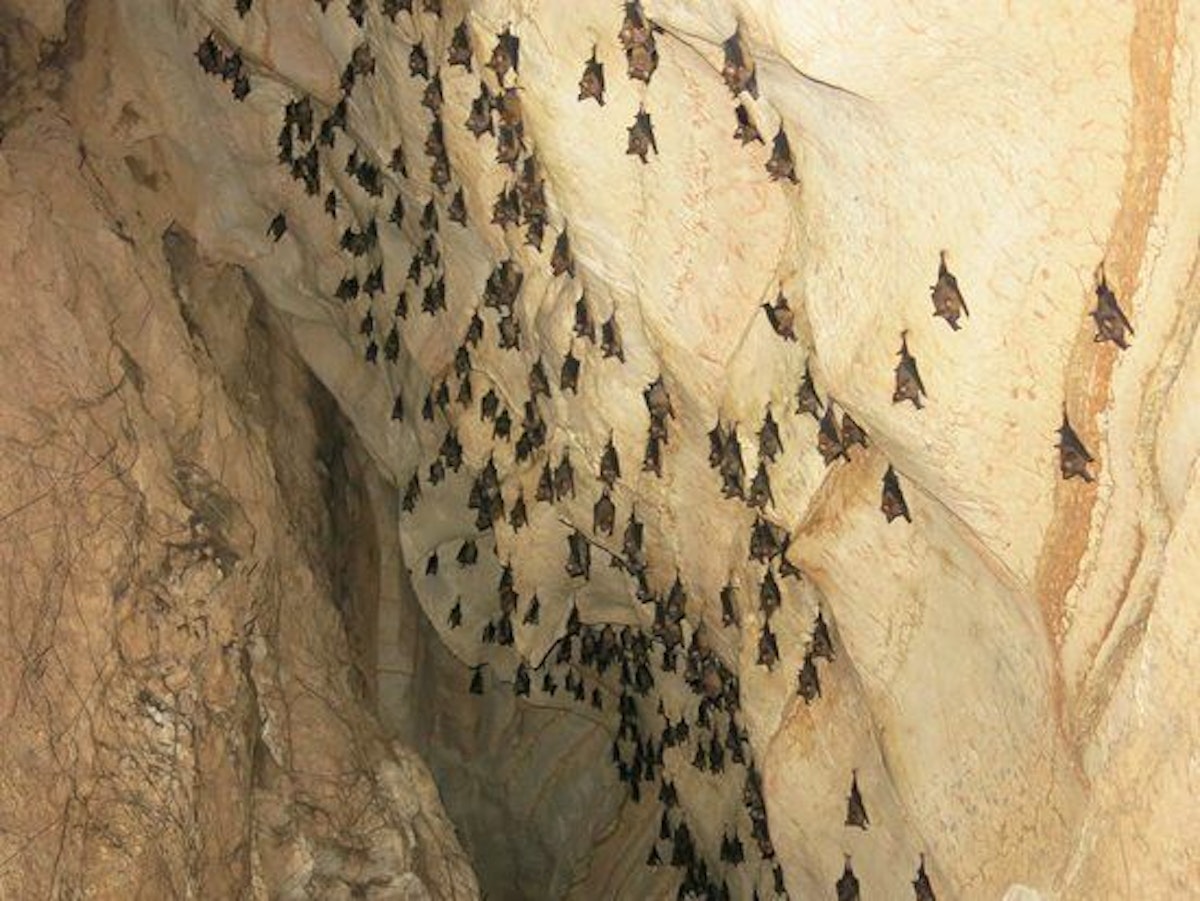 Mai Kaew Cave.jpeg