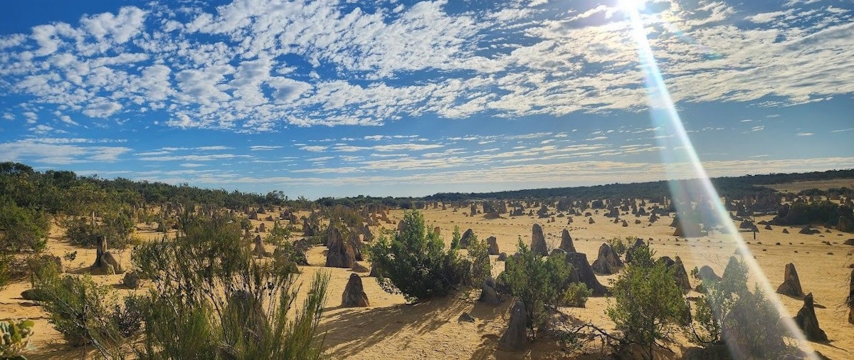 Pinnacles desert