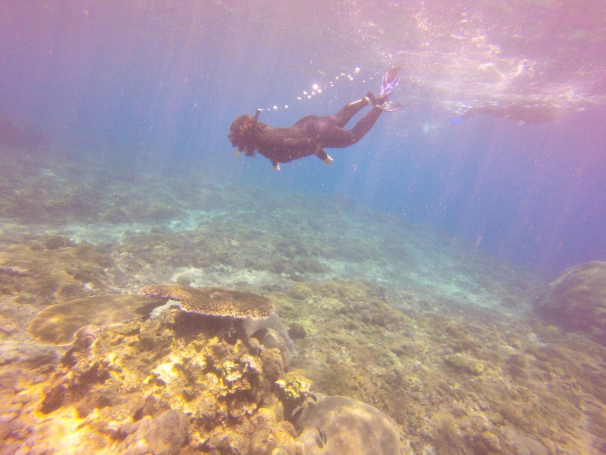 Snorkelling in Nusa Penida.jpeg