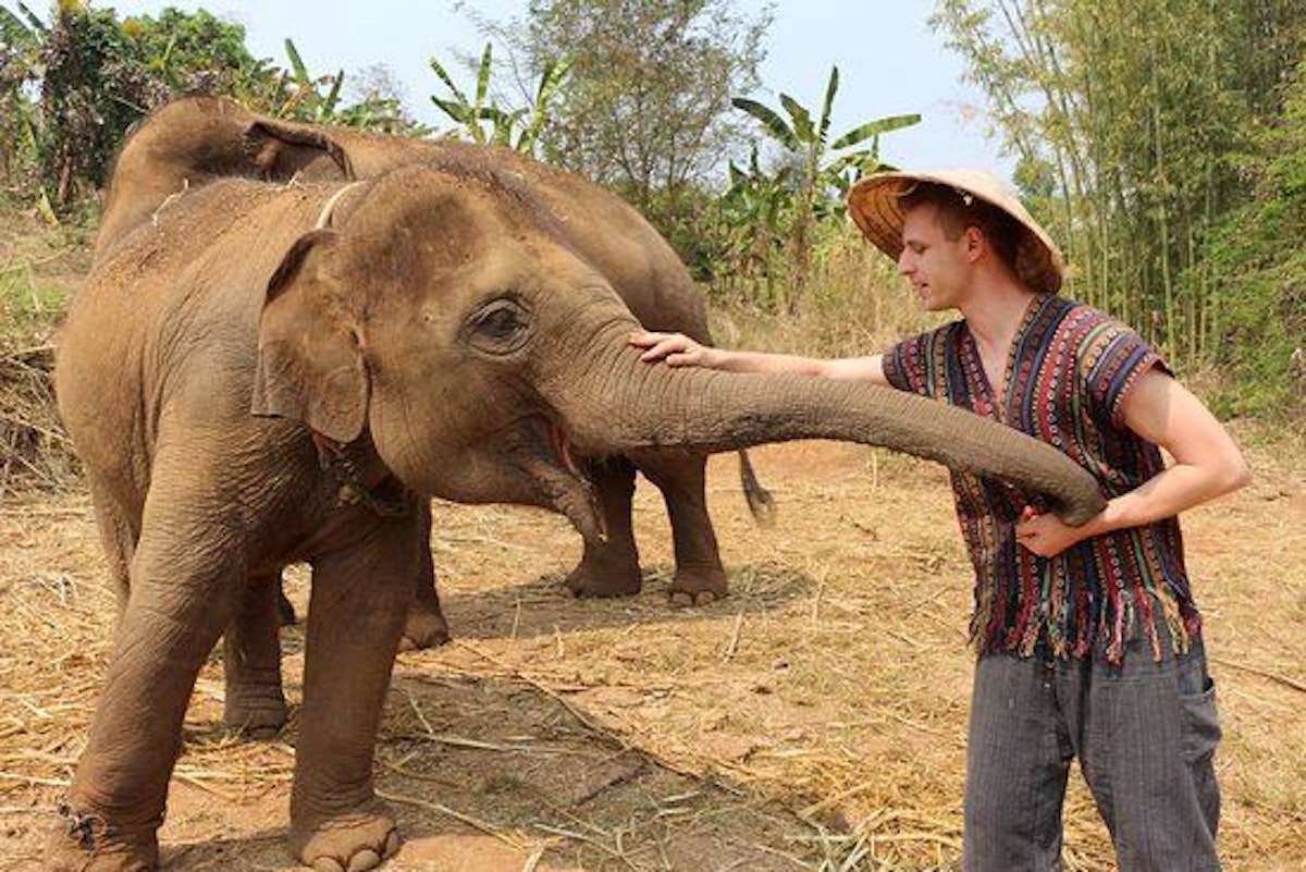 Thailand-elephant