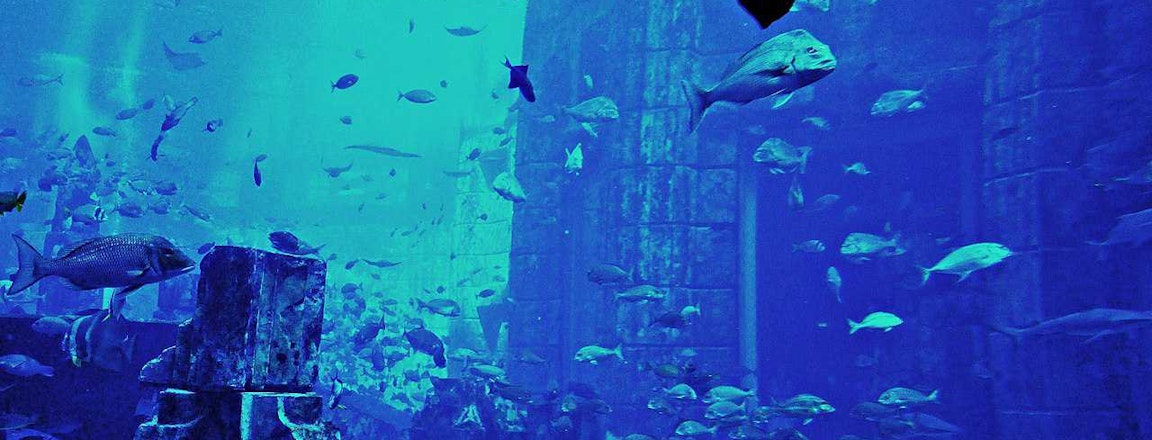 The Lost Chamber Aquarium, Dubai.JPG