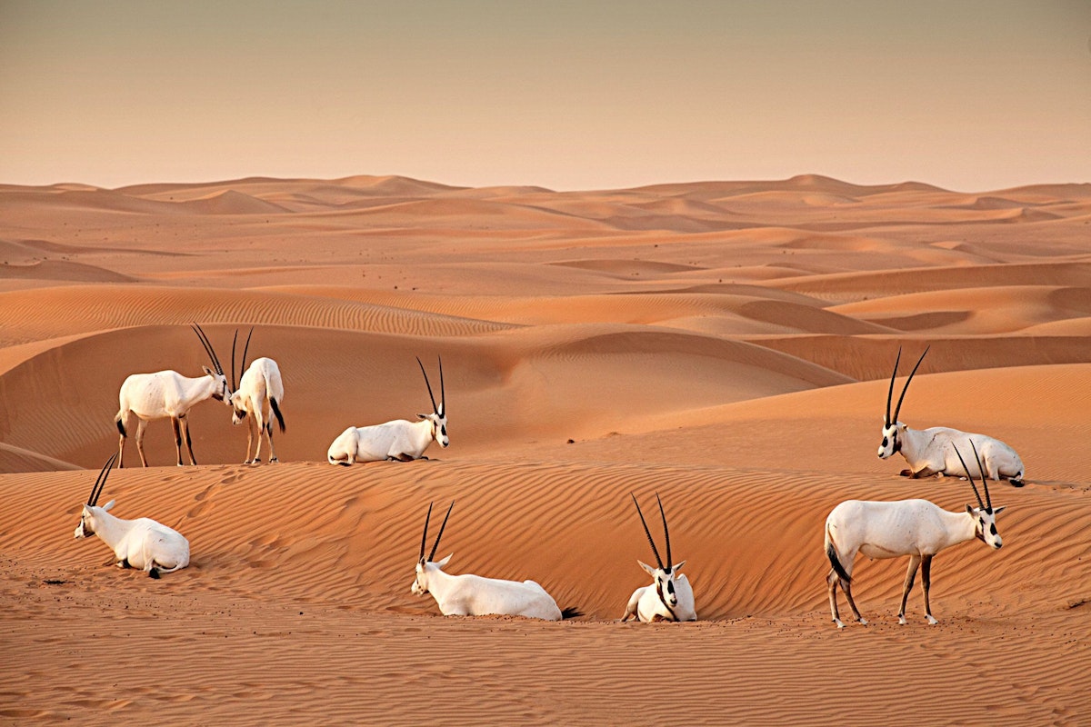 Al Maroom desert