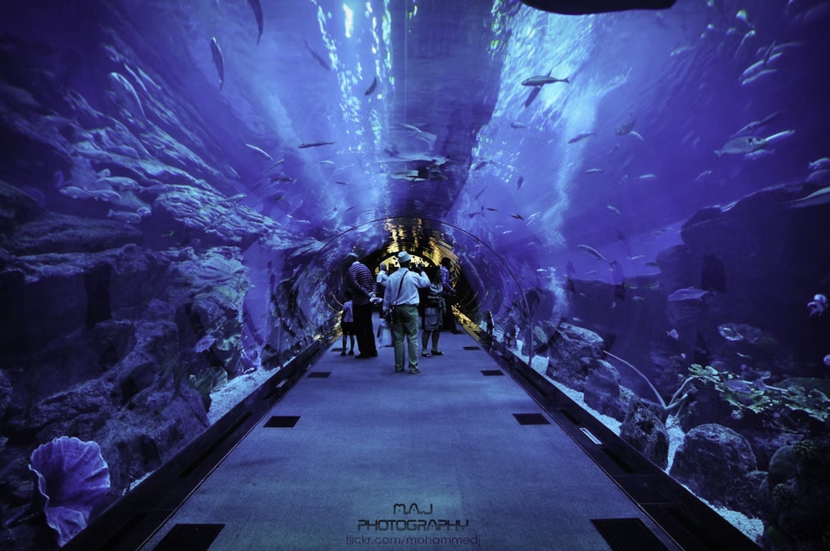 Aquarium Tunnel