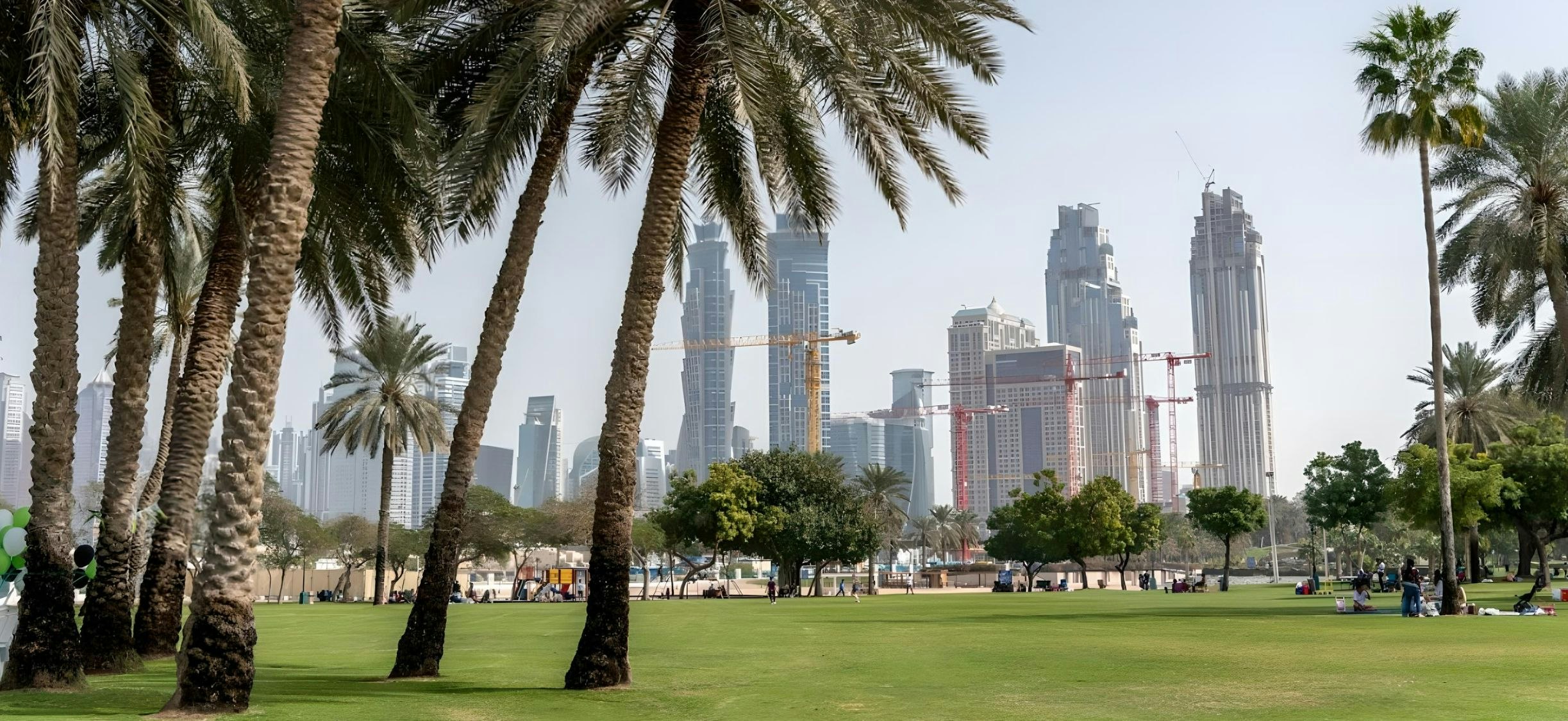 Safa Park Dubai 2024: Timings, Venue, How To Get There ,top Activities