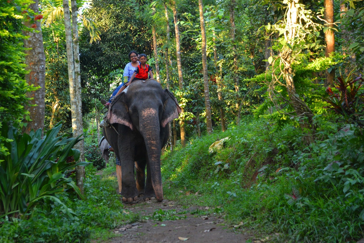 elephant-ride-bali.jpg