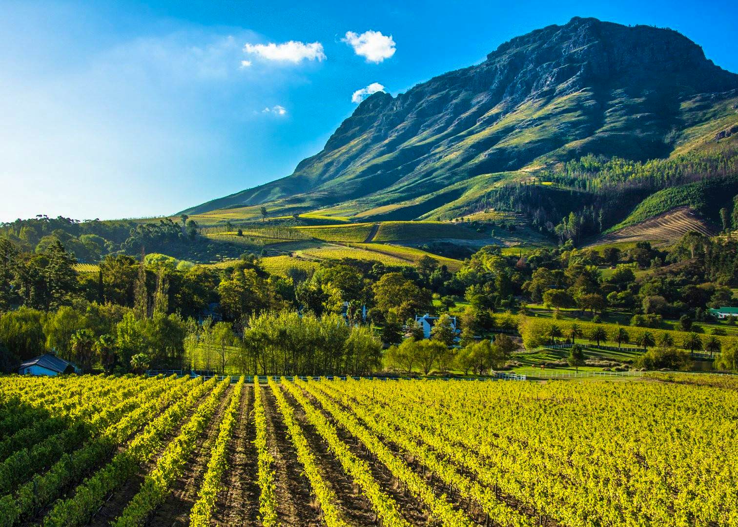 Scheduled - Full Day Winelands Tour