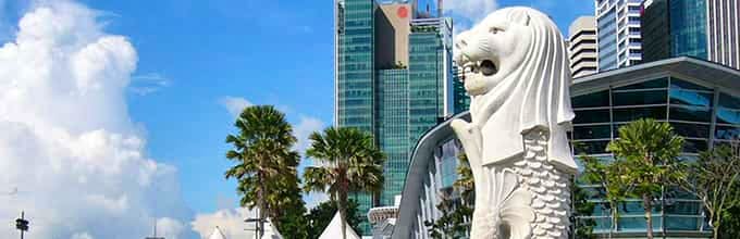 Singapore city tour of the best places like  Merlion Park, Chinatown and other places