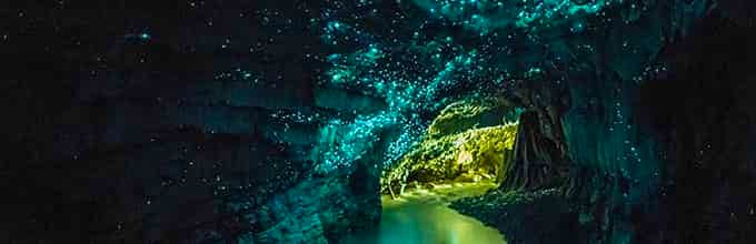 Experience Waitomo Glowworm Caves on the way to Rotorua - Admissions include