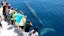 Thrilling eco cruise experience at Hauraki Gulf Marine Park and surrounding