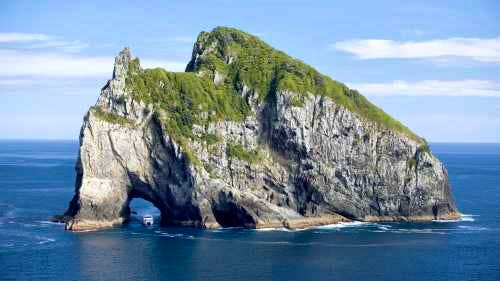 Cruise through aquamarine waters and a visit to Hole in the rock - Bay of Islands Dolphin Cruise