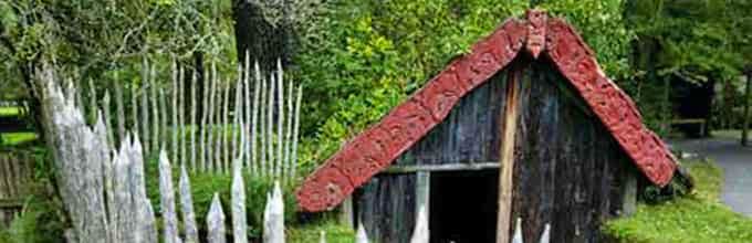 Rich history exploration of Maori tribes during Tribal Footprints Tour