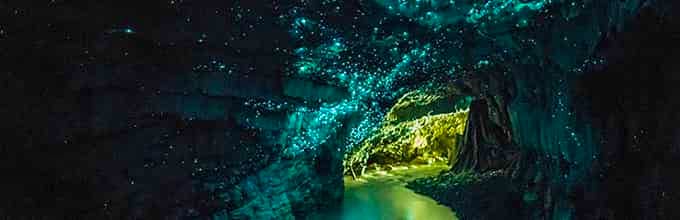 Experience Waitomo Glowworm Caves on the way to Taupo - Admissions included
