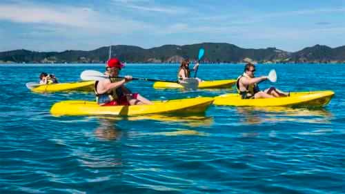 Bay of Islands - Exciting day cruise adventure on The Rock arena & surroundings