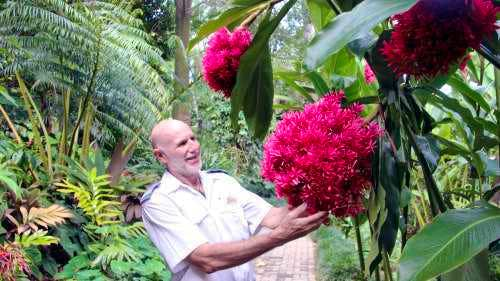  A bit of Cairns tour with visits to Flecker Botanical Garden and other top places