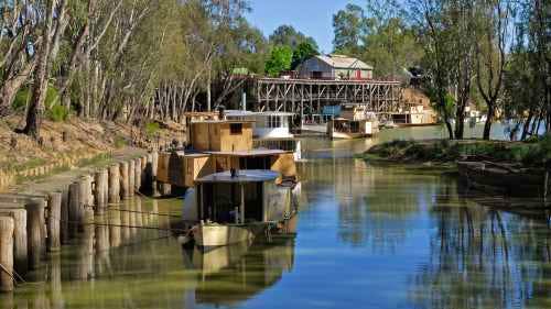 Murray River Cruise with a delicious 2-course meal whilst paddling via scenic spots and sandstone cliffs 