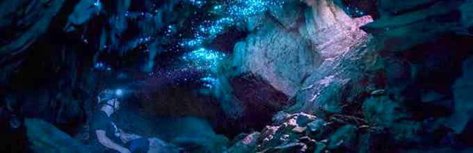Experience Waitomo Glowworm Caves on the way to Rotorua - Admissions included