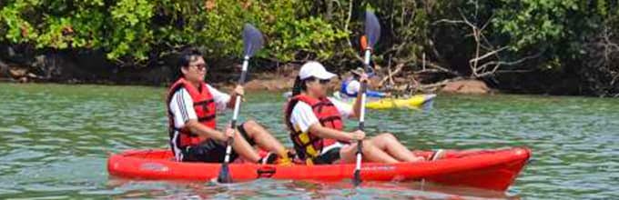 Adventure to explore Pulau Ubin via the eco mangrove kayaking trail