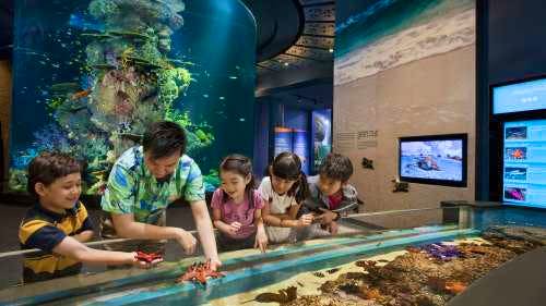  S.E.A Aquarium with Private Transfers (Mon, Tue, Sat, Sun) 	