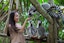 Bali Zoo and Bali Bird Park With Private Transfers