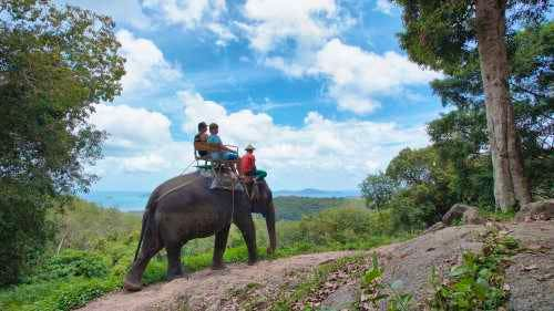 Elephant Trekking adventure at Siam Safari inclusive of meal options