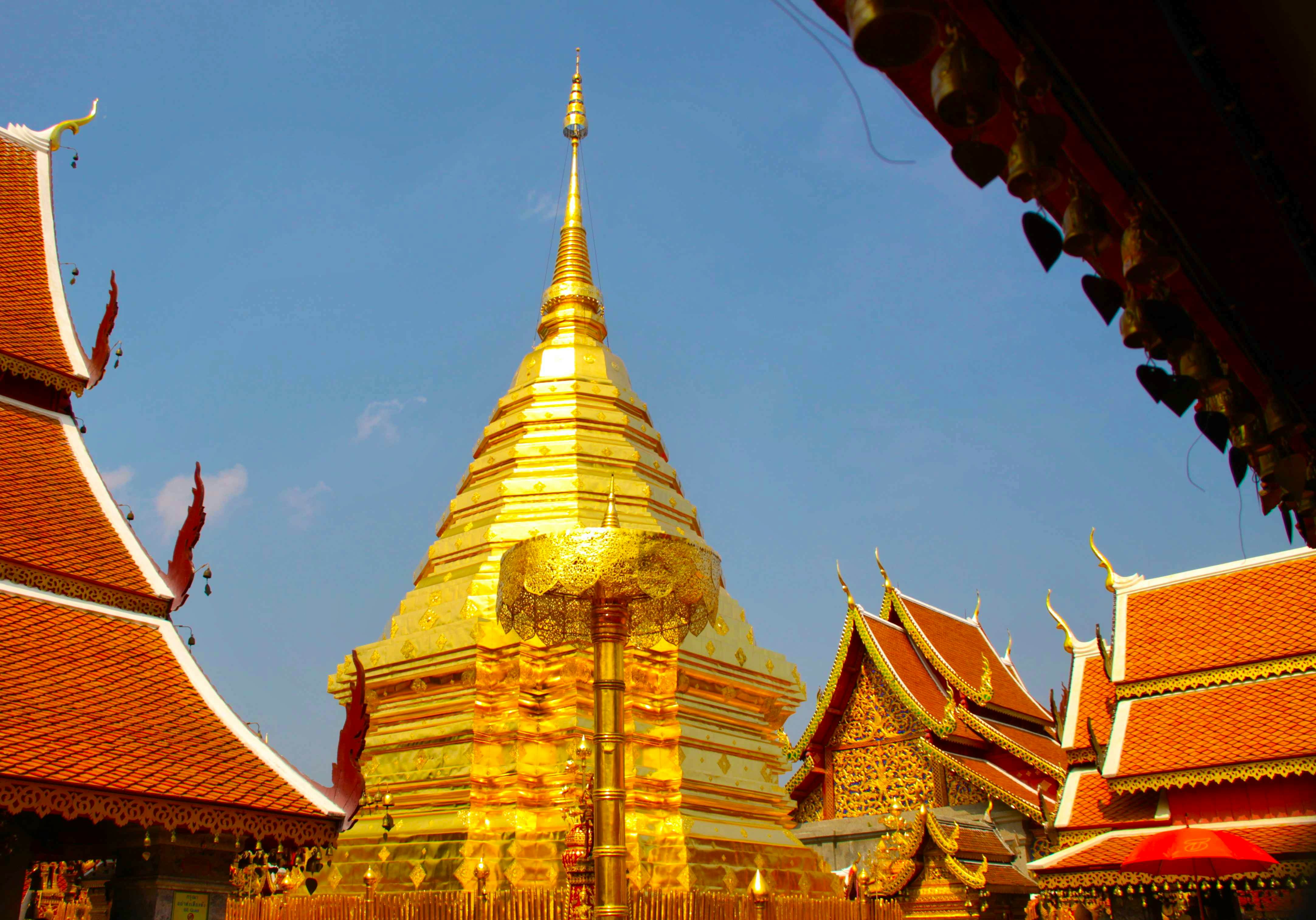 Pay a visit to Doi Suthep Temple And Wat Saun Dok, Wat Chedi Louang