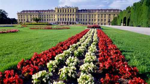 Schonbrunn Palace & Vienna Explorations