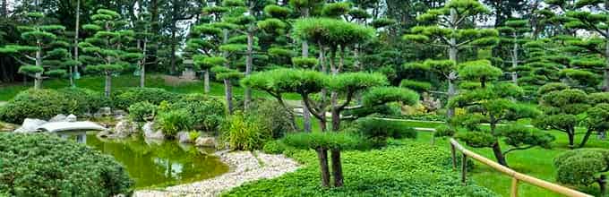Nordpark's Japanese Garden