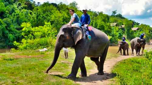 Elephant Riding & Kayaking Tour at Tad Sea Waterfalls