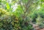Pha Tad Ke Botanical Garden