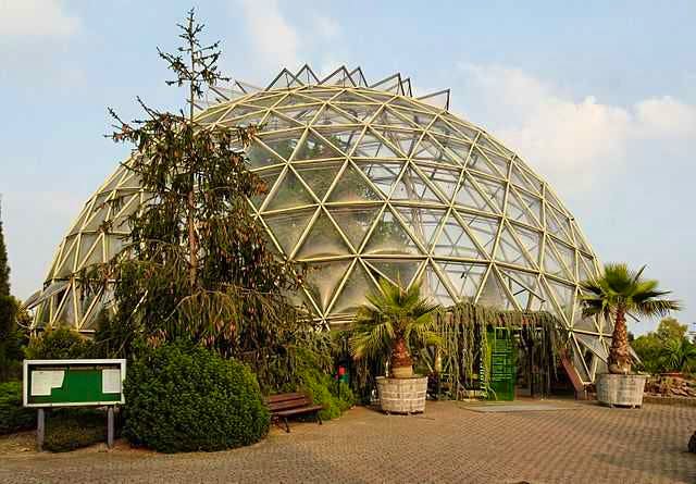 Visit Botanical garden of Dusseldorf