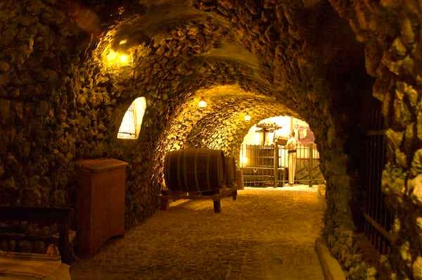 Visit Wine Museum