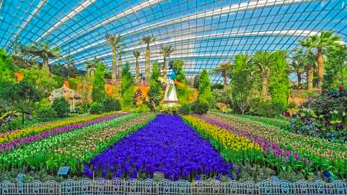  Gardens by the Bay - Flower dome + Cloud Forest featuring Avatar : The Experience - Admission only