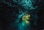 Waitomo Glowworm Caves from Paihia- Admissions Only