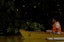 Puerto Princesa Fireflies Watching with Dinner