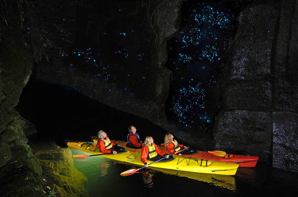 Experience Waitomo Glowworm caves on the way to Auckland