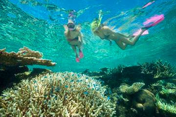 Great Barrier Reef snorkeling cruise from Cairns