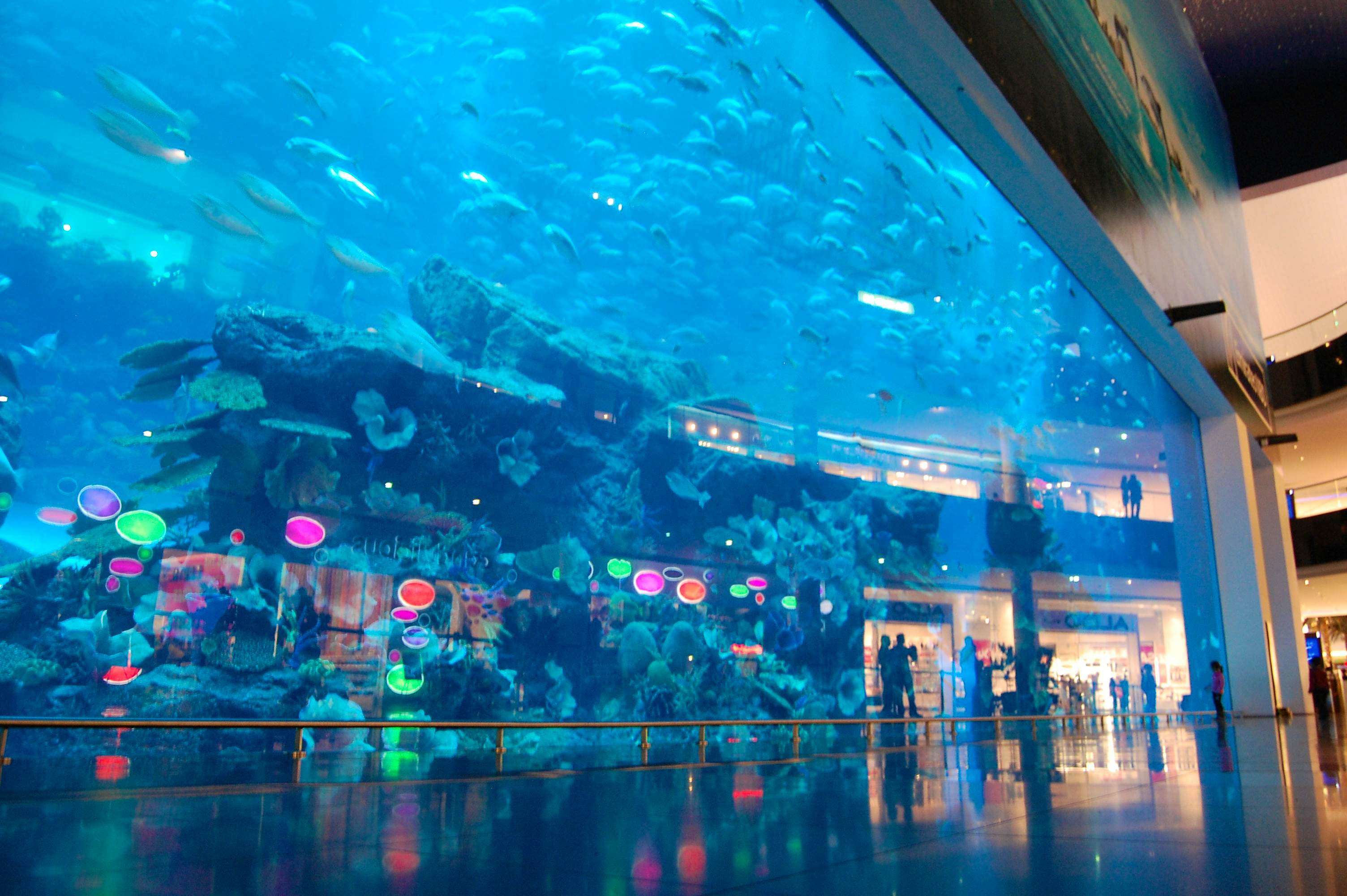 Explore Dubai Aquarium & Underwater Zoo (General Admission) Tickets only