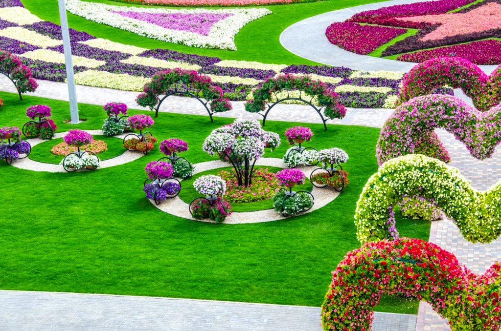 Miracle Garden - A Walk Through World’s Largest Natural Flower Garden