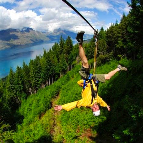  Kea Tour from Queenstown -A guided journey through ancient native beech forest 