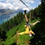  Kea Tour from Queenstown -A guided journey through ancient native beech forest 