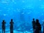 Lost Chambers - Explore the Underwater World SIC ( operates only on Tue, Thurs, & Fri)