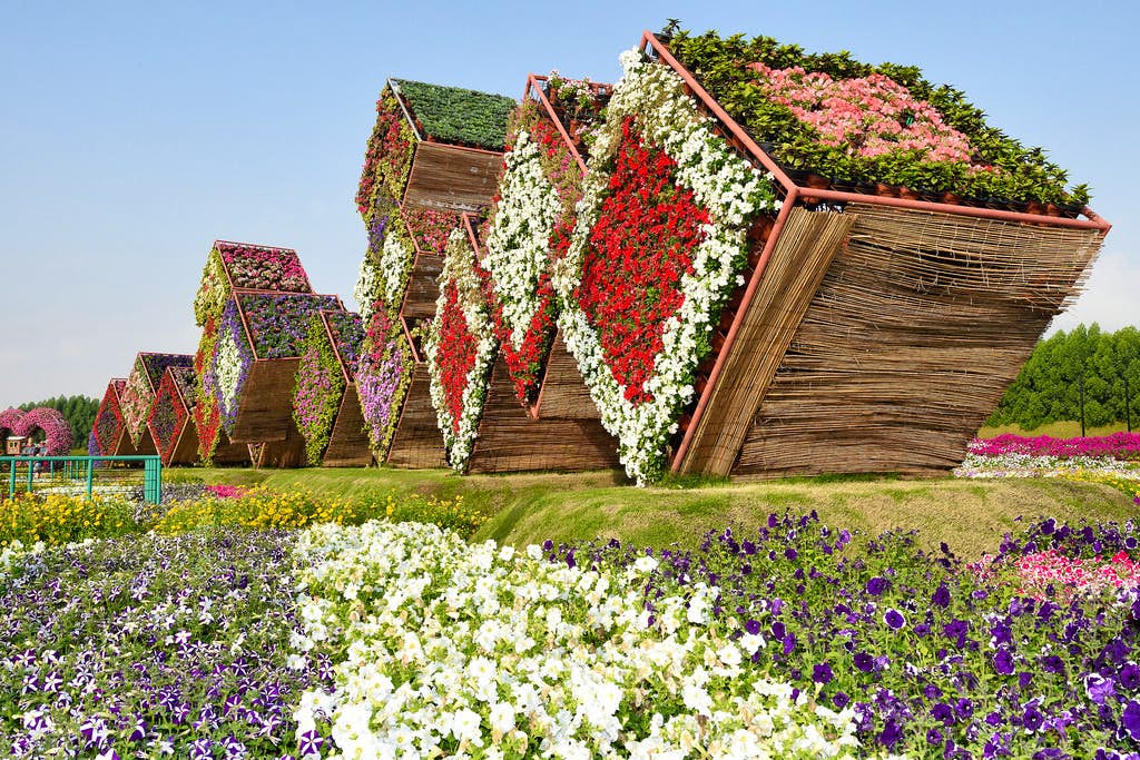 Experience the Beauty of Miracle Garden Dubai (Operational on Monday, Wednesday and Friday )