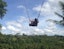 Experience the Iconic Bali Swing with private transfers