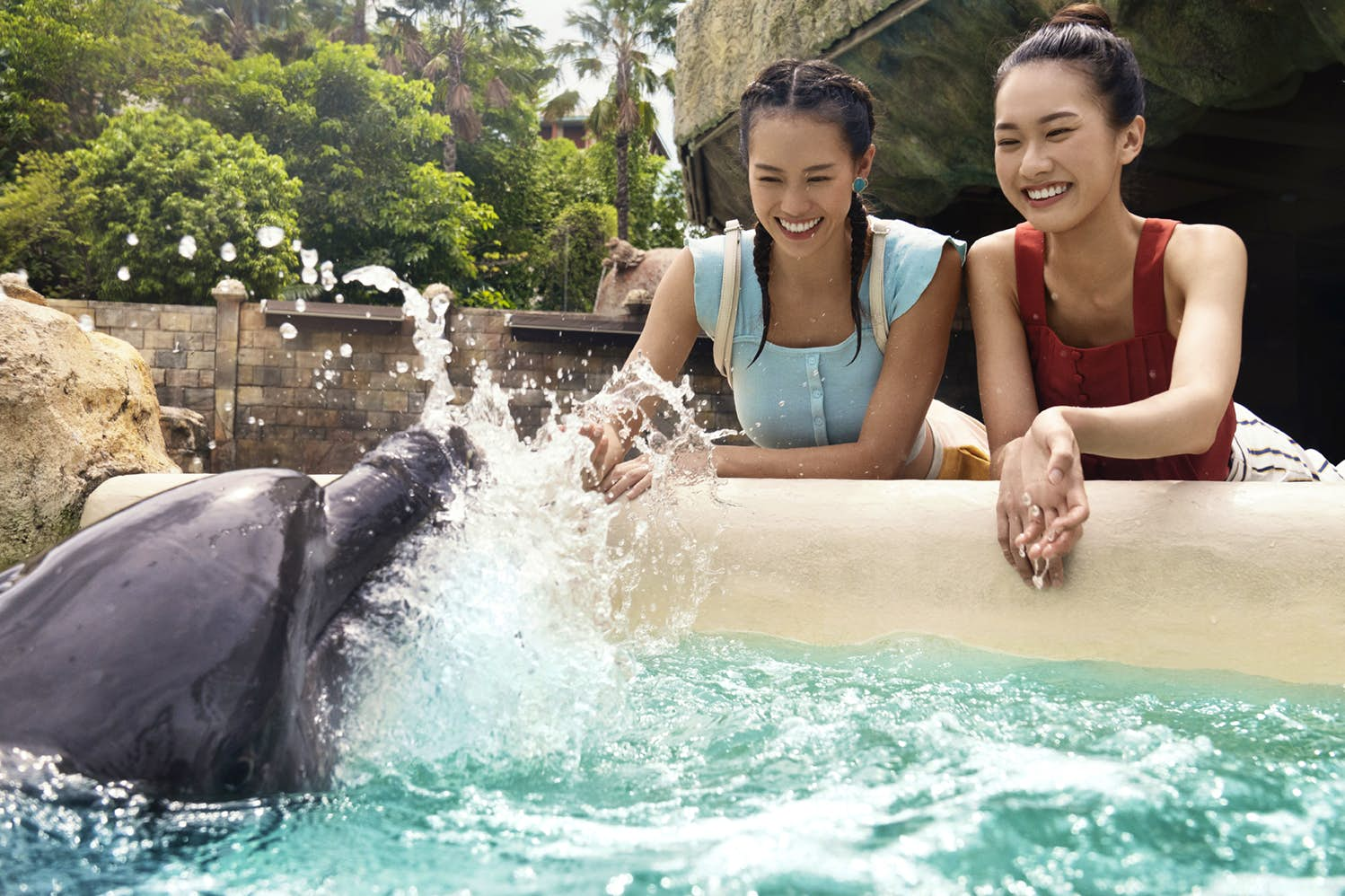 Dolphin Encounter and  Adventure Cove Waterpark With Shared Transfers