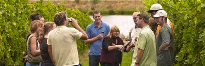 Enrichment to the heart & soul at Yarra Valley Wine and Winery Tour to the best wineries under expert's assistance