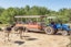 Safari Ostrich Farm - Tractor Safari