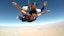 Experience skydiving in Dubai at the Palm Drop Zone